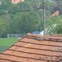 20160527_162142.jpg